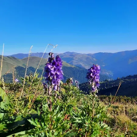 Apartmán Plein Sud