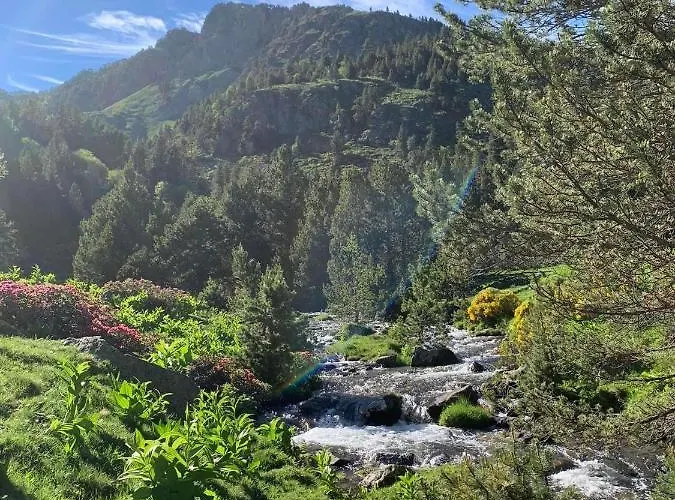Plein Sud Appartement