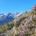 Plein Sud