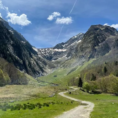 Plein Sud