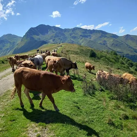 Plein Sud Saint-Aventin