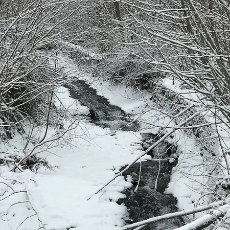 Apartment Plein Sud *