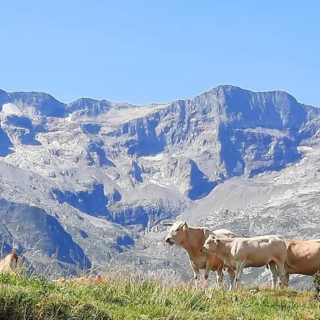 Apartment Plein Sud Saint-Aventin