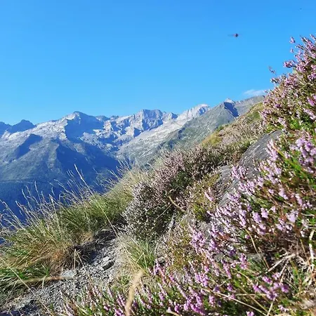 Plein Sud