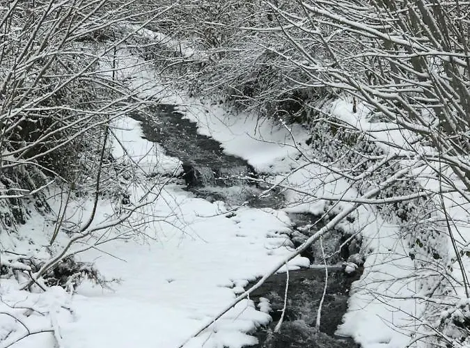 Apartment Plein Sud *